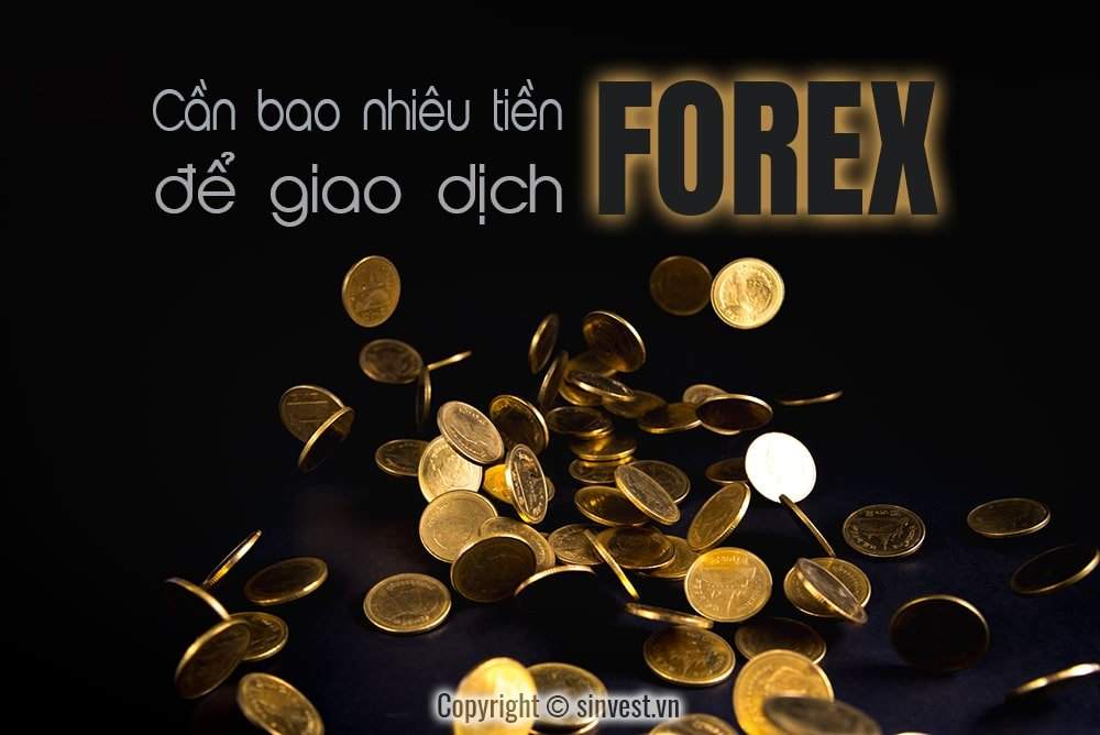 Cần bao nhiêu tiền để tham gia đầu tư Forex?