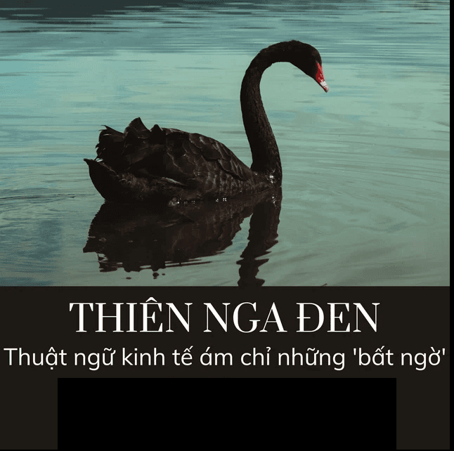 Thuật ngữ Thiên nga đen