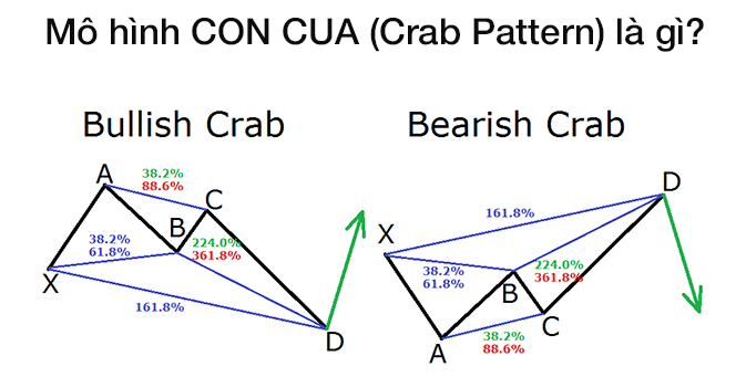 Mô hình CON CUA (Crab Pattern) là gì?