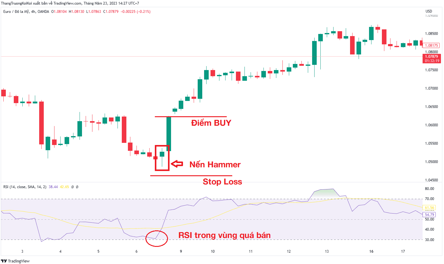 Kết hợp nến Hammer và chỉ số sức mạnh tương đối RSI