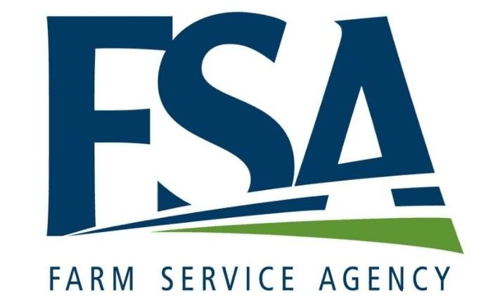 Giấy phép FSA ở Nhật (Financial Services Agency)