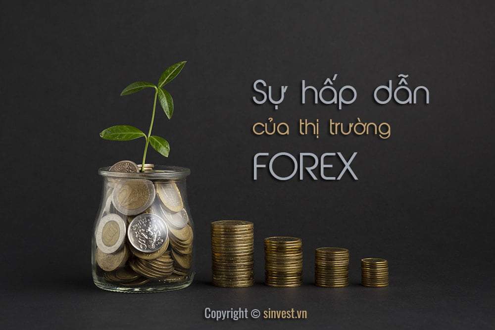 Sự hấp dẫn của thị trường Forex