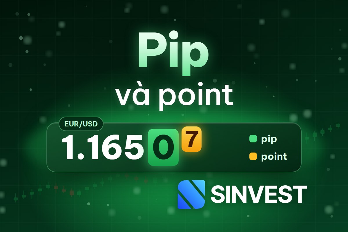 Pip là gì? Point là gì? Cách tính pip và giá trị pip trong forex