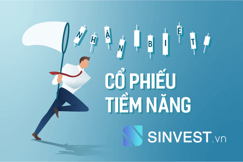 Bỏ túi 2 cách nhận biết cổ phiếu tiềm năng các nhà đầu tư nên nắm bắt