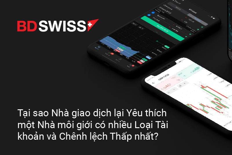 Tại sao trader lại yêu thích một nhà môi giới có nhiều loại tài khoản và chênh lệch thấp nhất?