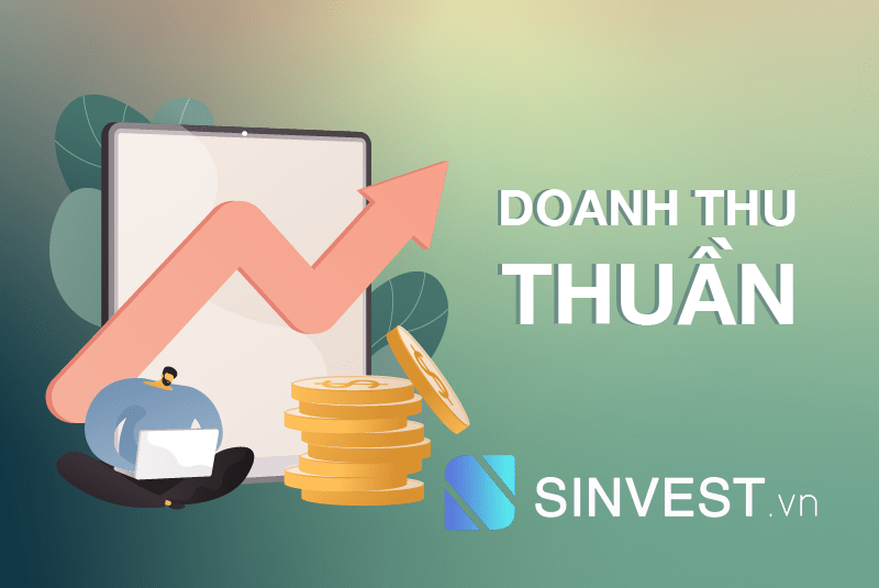 Doanh thu thuần là gì? Tóm tắt mọi kiến thức về doanh thu thuần