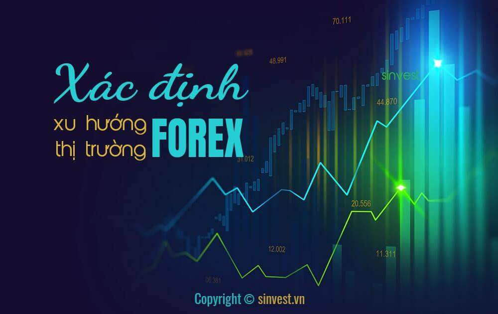 Xu hướng là gì? Cách xác định xu hướng hiệu quả trong Forex