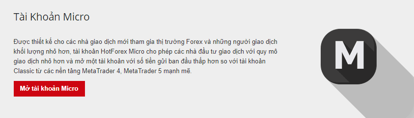 Hot forex review tài khoản micro Đánh giá sàn HotForex 
