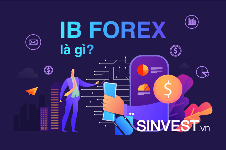 ib sàn forex