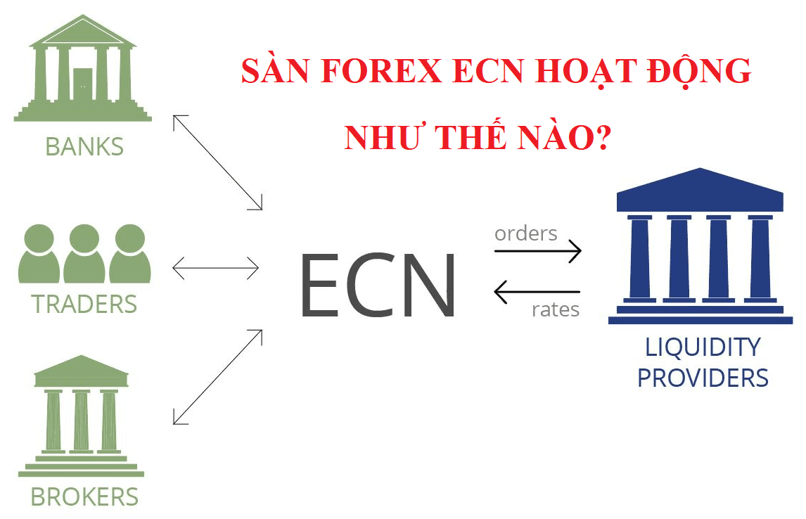 Sàn Forex ECN hoạt động như thế nào?